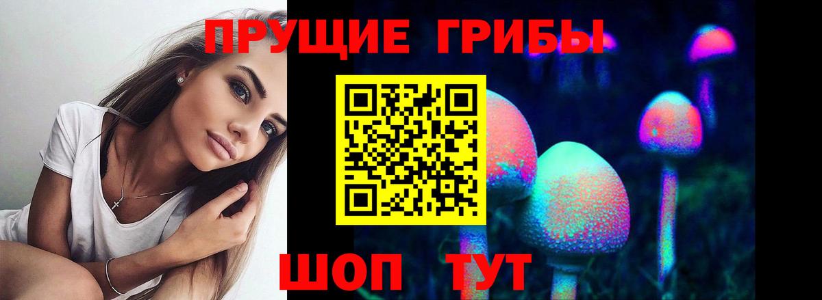 Псилоцибиновые грибы Psilocybine cubensis  Галлюциногенные грибы мицелий  наркота  Усть-Джегута  Вход с VPN 